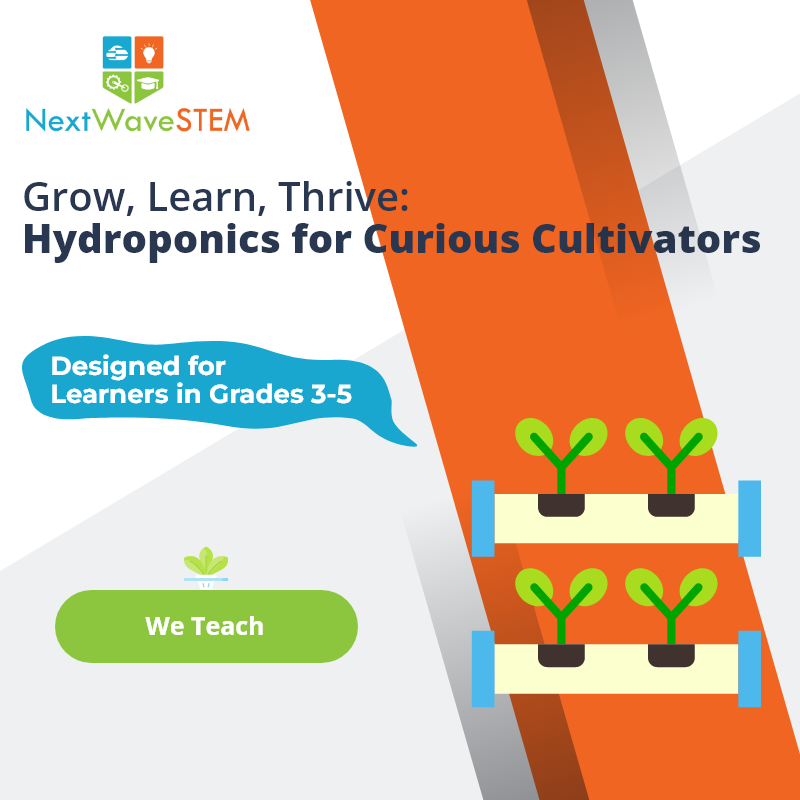 NextWaveSTEM | Hydroponics Systems: Gardening Without Soil | We Teach | Designed for learners in Grades 3-5